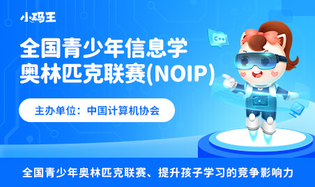 全国青少年信息学奥林匹克联赛（noip）